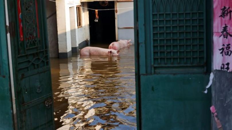 'The sky has fallen': Chinese farmers see livelihoods washed away by floods