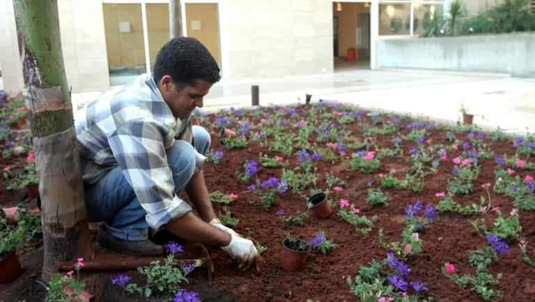 العدو يحرق الأخضر واليابس والدولة غائبة: الزراعة تموت في الجنوب