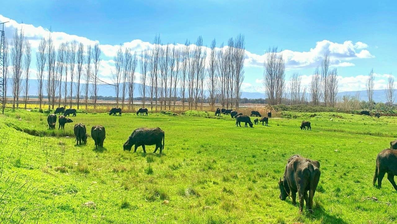 صور تخطف الأنفاس من "عمّيق"... صدّقوا أنتم في لبنان!