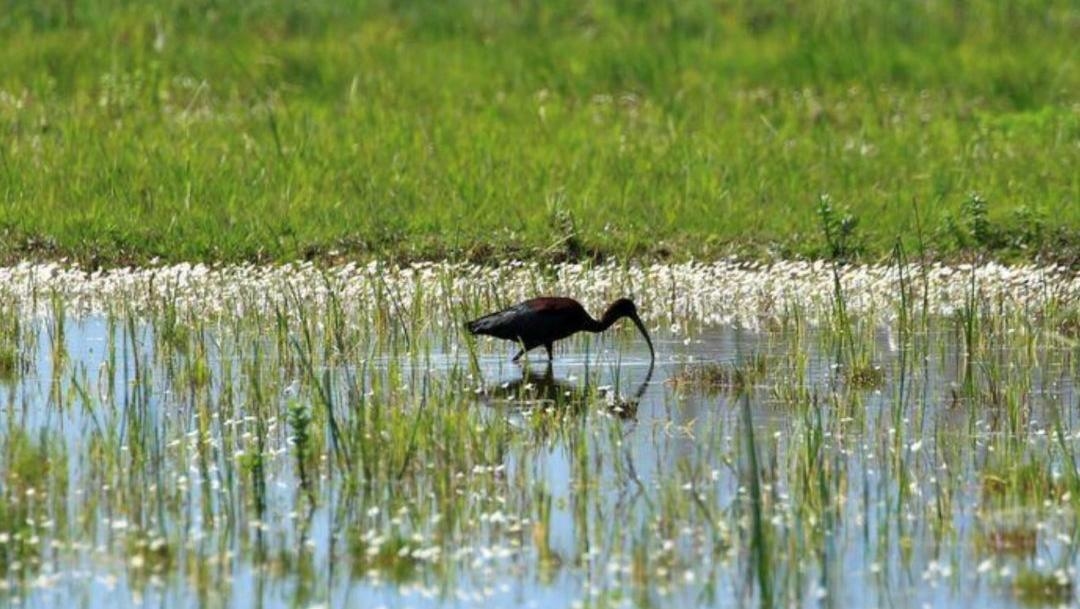 صور تخطف الأنفاس من "عمّيق"... صدّقوا أنتم في لبنان!
