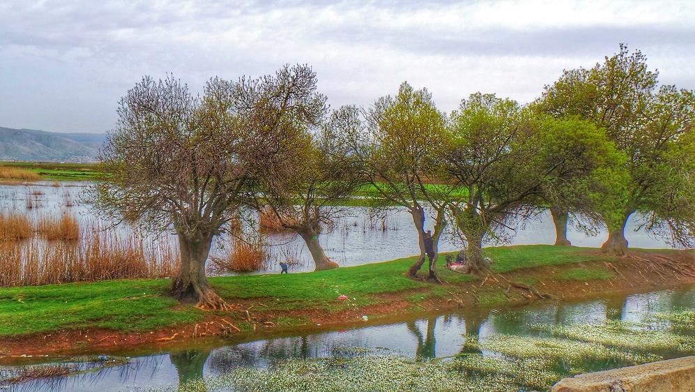 صور تخطف الأنفاس من "عمّيق"... صدّقوا أنتم في لبنان!