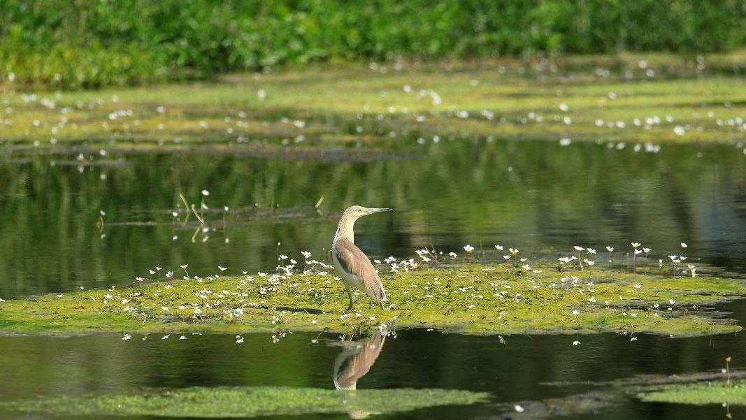 صور تخطف الأنفاس من "عمّيق"... صدّقوا أنتم في لبنان!