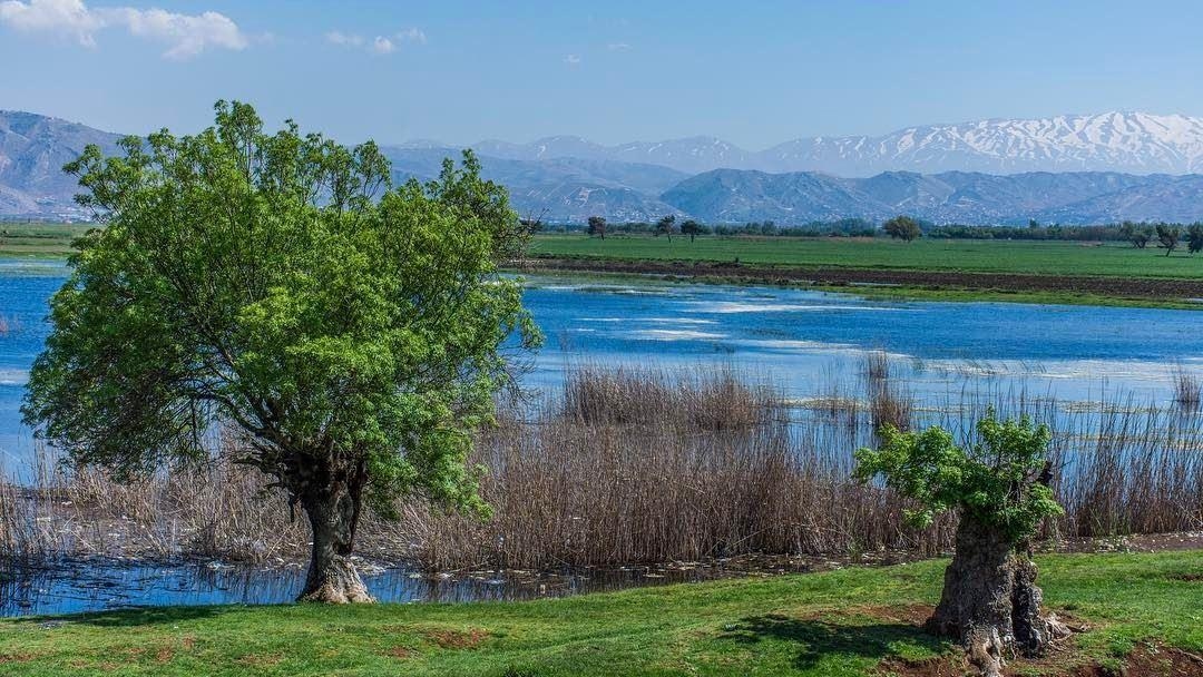 صور تخطف الأنفاس من "عمّيق"... صدّقوا أنتم في لبنان!