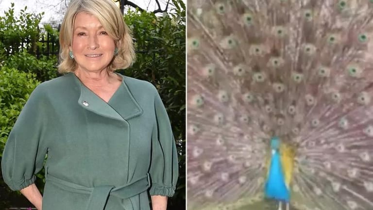 Martha Stewart Says Six of Her Pet Peacocks Were Eaten by Coyotes