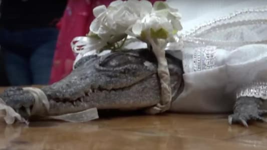 In Age-Old Ritual, Mexican Mayor Weds Alligator to Secure Abundance