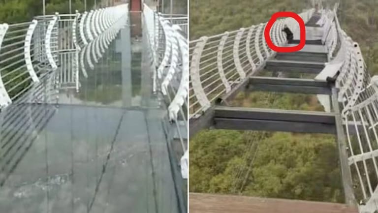 Man Left Dangling From Bridge After Glass Panel Breaks in China