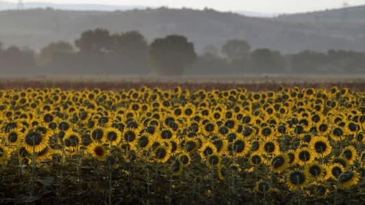 Greece says it can boost sunflower oil production, if needed