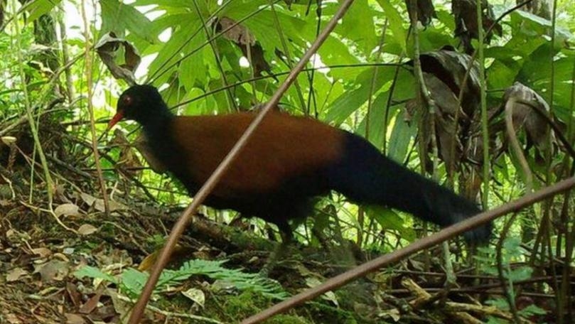 Main Highlight Image