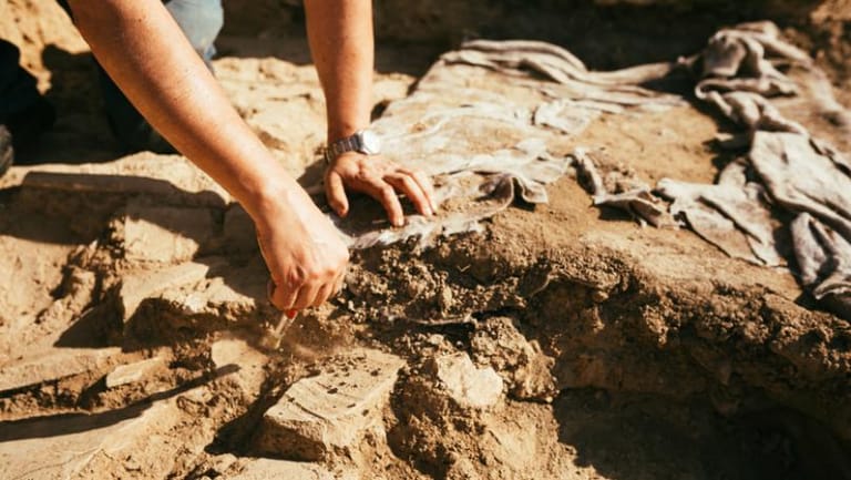 Fossils of Car-Sized Dinosaur-Era Sea Turtle Unearthed in Spain