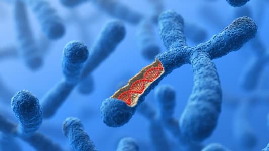 Scientists Say Human Chromosomes Are Much Heavier Than They Should Be
