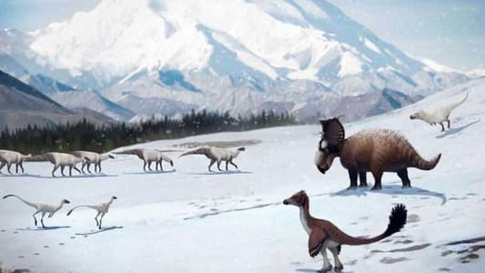 Chill Life: Dinosaurs Thrived in the Ancient Arctic