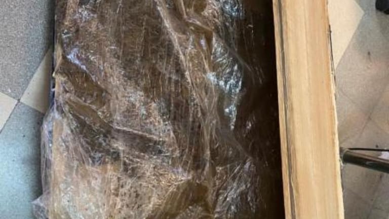 بالصّور: إحباط عمليّة تهريب مخدّرات إلى دولة أوروبية