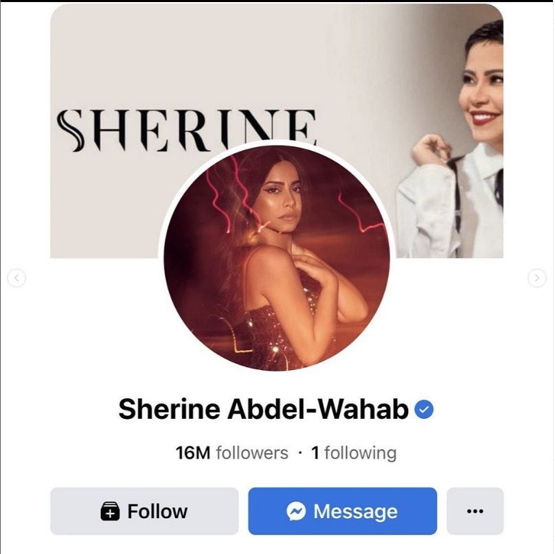 شيرين تتابع حسام حبيب فقط عبر "فايسبوك"... وإلغاءٌ للجميع!