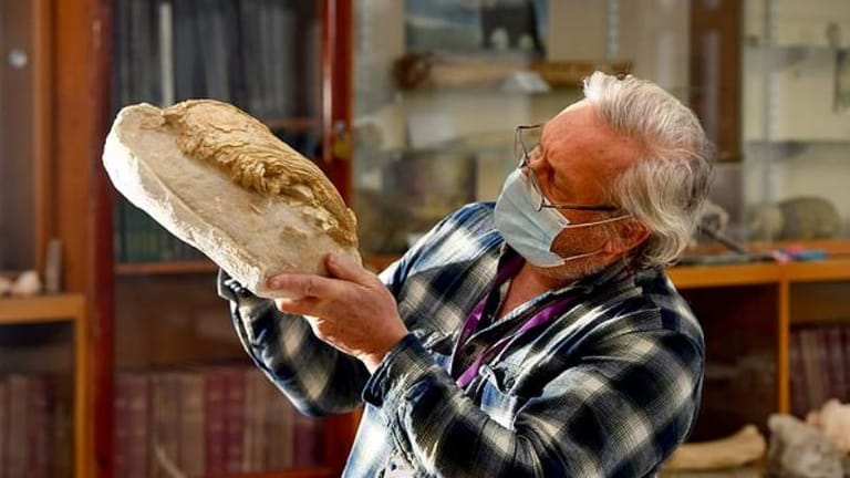 Fossil Belonging to World’s Largest Coelacanth Discovered