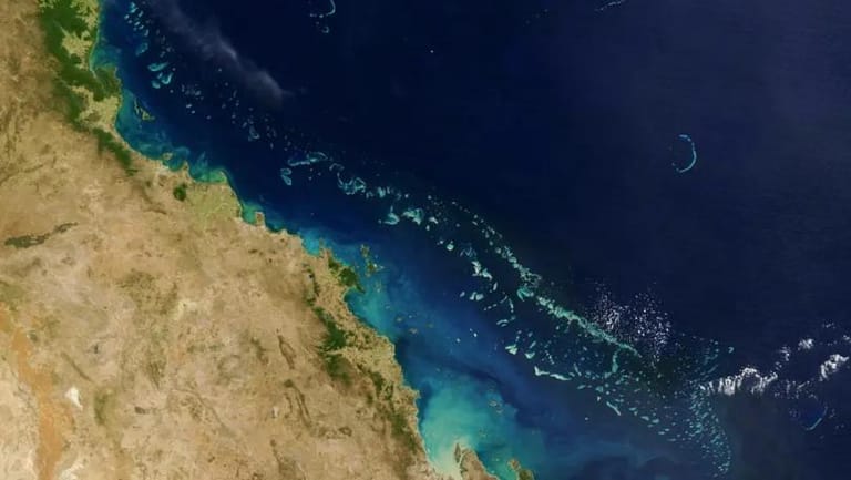 Great Barrier Reef Should Be Added to List of World Heritage Sites ‘In Danger’, Says UN