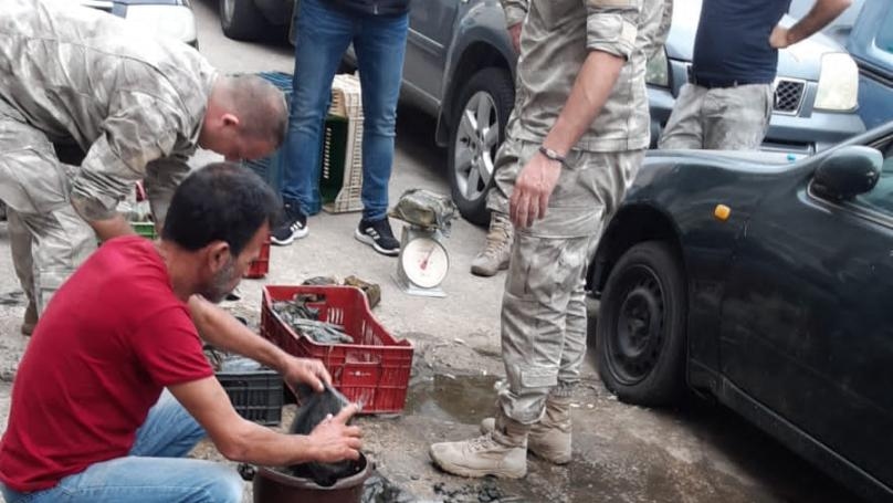 بالصور: حشيشة تحت الماء