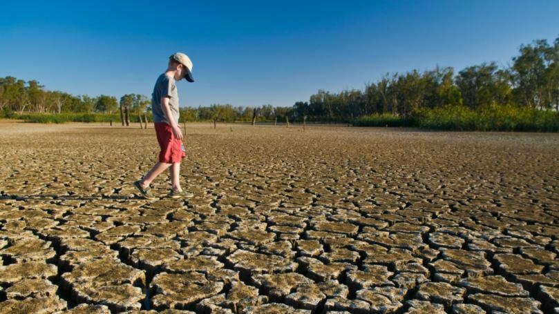 ‘Life on Earth Can Recover… Humans Cannot,’ UN Climate Body Warns