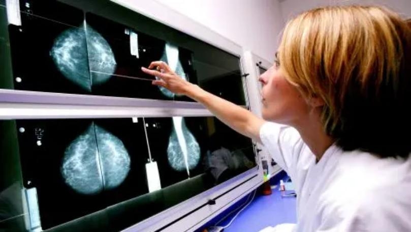 Main Highlight Image