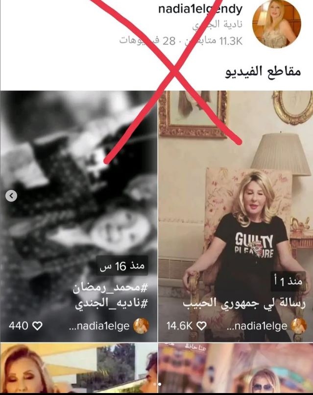 نادية الجندي تحذّر... والسبب "تيك توك"