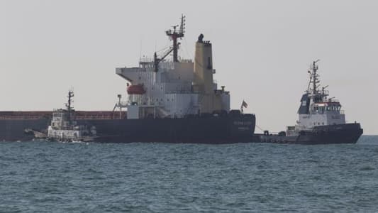 Two more grain ships leave Ukraine, bringing total to 12 under new deal