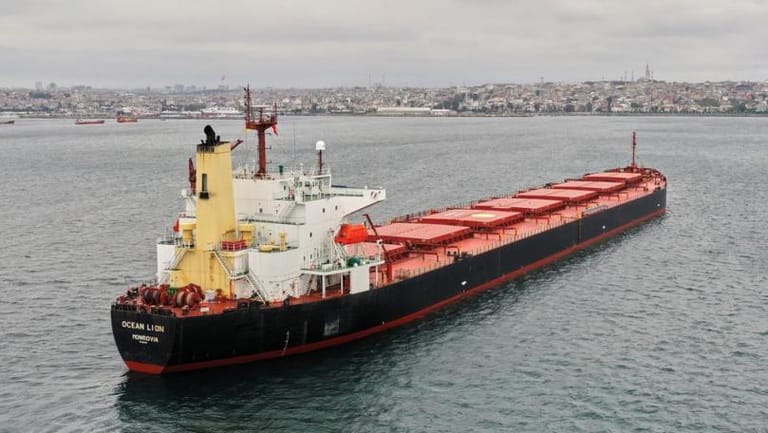 Grain ship's departure from Ukrainian port delayed due to bad weather- Turkish ministry