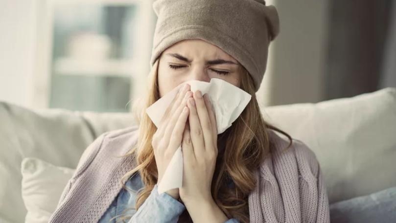 12 Foods and Drinks that Boost Your Immune System
