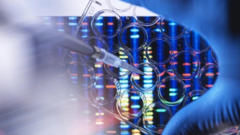 Scientists Create Spinal Cord Implants That Could Allow Paralyzed People to Walk