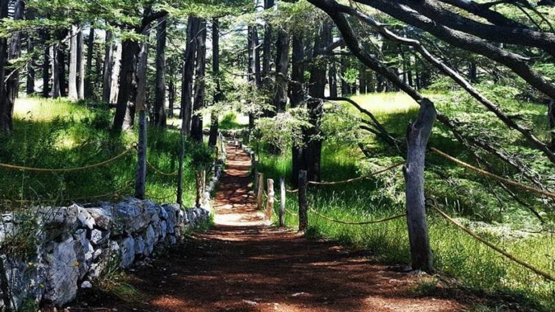 في تنورين: شلال من الأجمل عالميا.. ومغامرات تصل إلى النجوم!