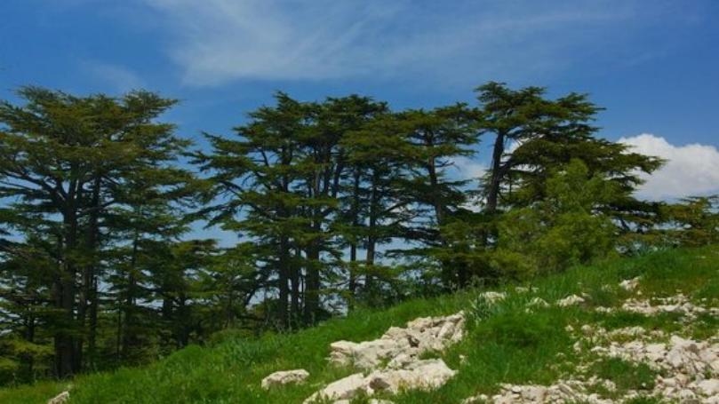 في تنورين: شلال من الأجمل عالميا.. ومغامرات تصل إلى النجوم!