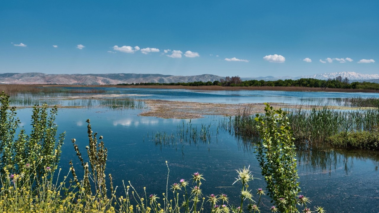 صور تخطف الأنفاس من "عمّيق"... صدّقوا أنتم في لبنان!