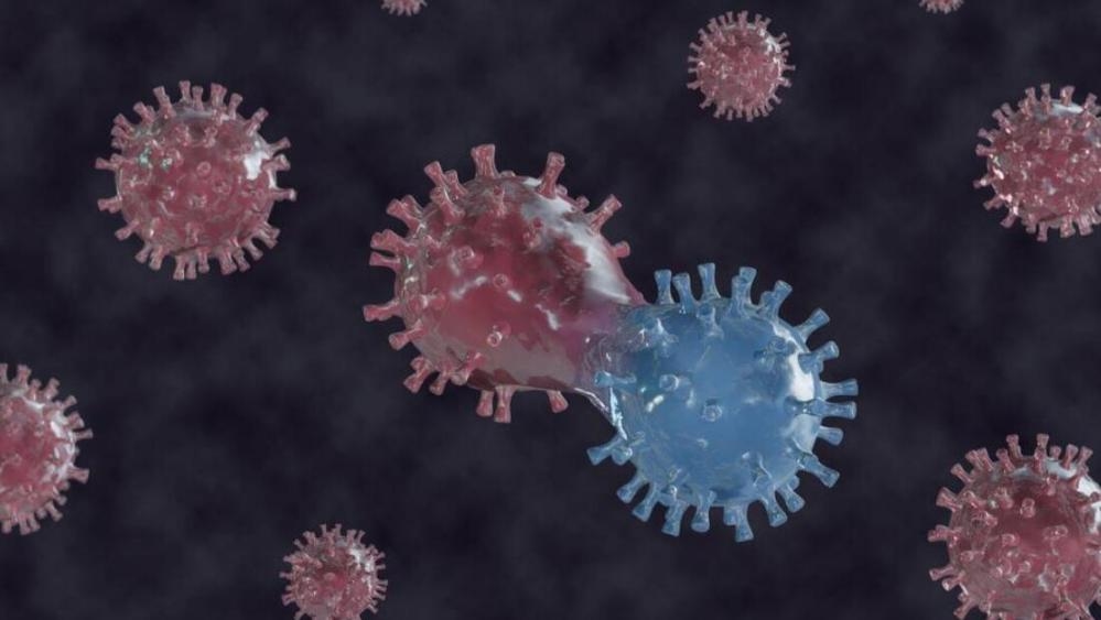 Unvaccinated Belgian Woman Contracted Two COVID Variants Simultaneously