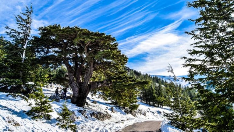 Fickle weather expected on New Year’s holiday