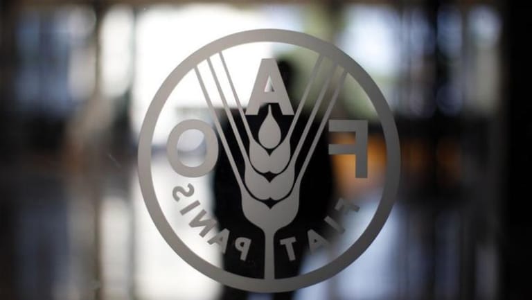 فاو: إنخفاض مؤشر أسعار الغذاء العالمية