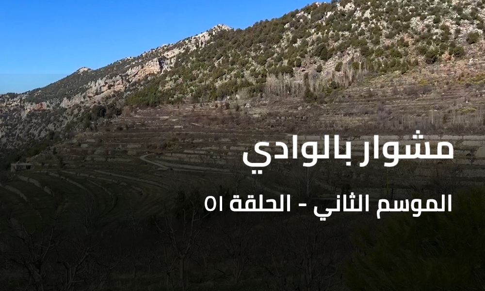 2 مشوار بالوادي - تنورين - الجزء