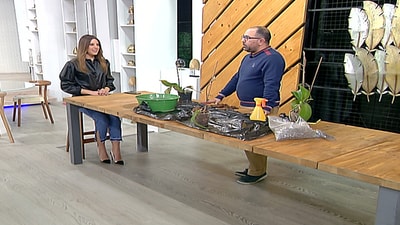 Viewers Questions