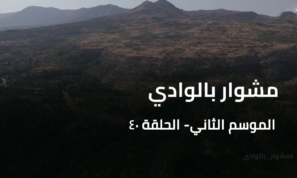 A Trip to the Valley - Hasroun