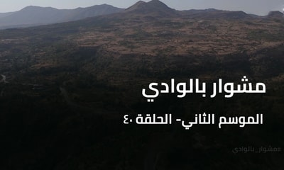 A Trip to the Valley - Hasroun