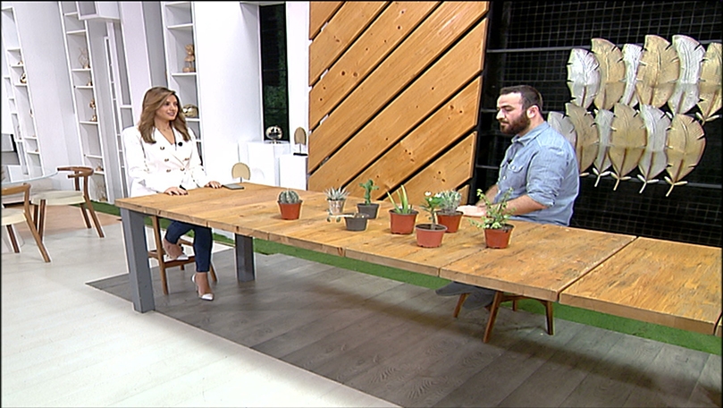 Elie Ziadeh - Cactus care