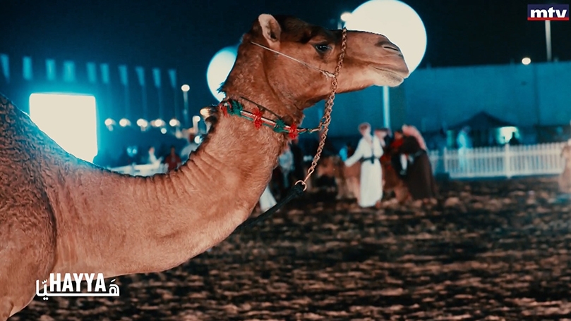 الحلقة 15