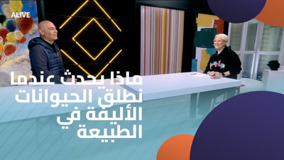 ماذا يحدث عندما نطلق الحيوانات الأليفة في الطبيعة