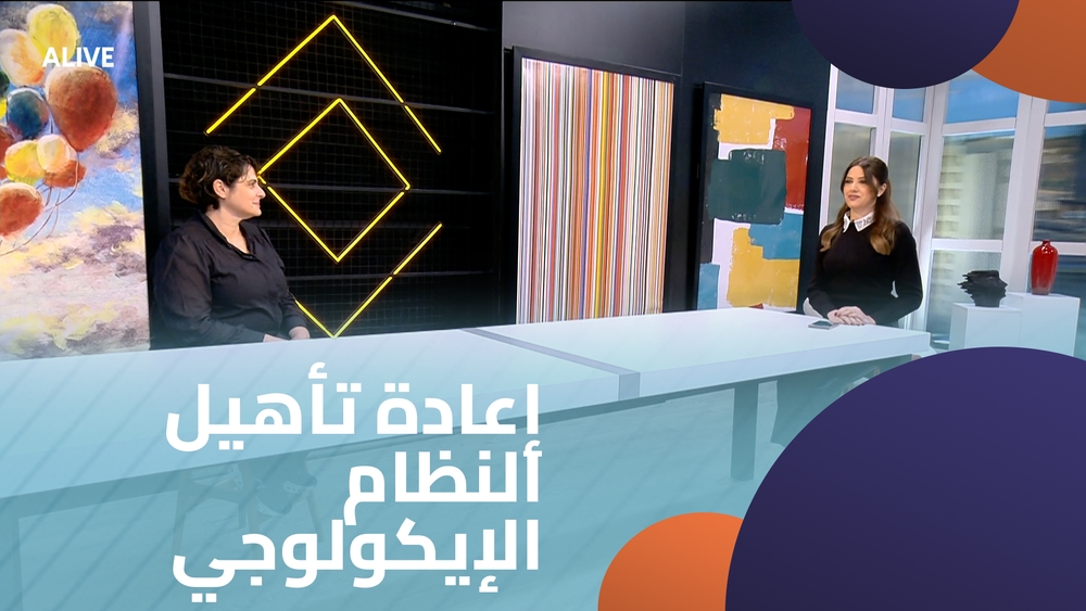 إعادة تأهيل النظام الإيكولوجي