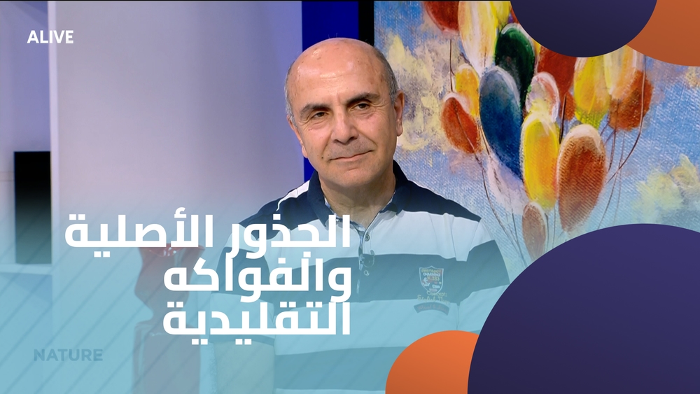 الجذور الأصلية والفواكه التقليدية