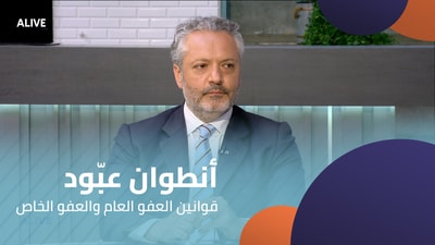 Antoine Abboud - General and Special Pardon Laws