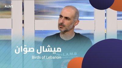 Michel Sawwan - Birds of Lebanon