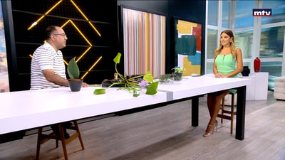 Viewers' Questions