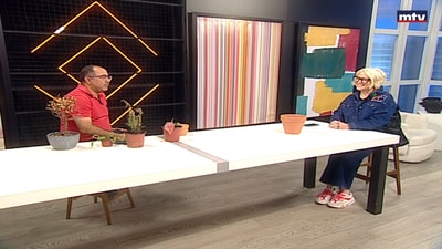 Viewers Questions