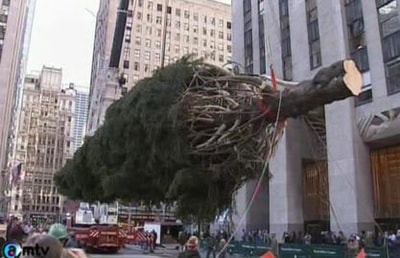 13 Nov 2010