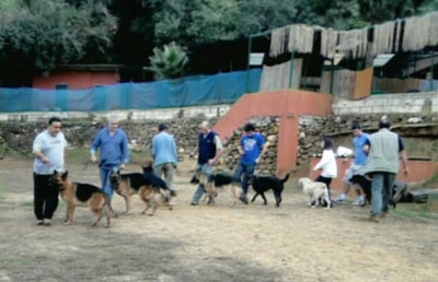 09 Dec 2010