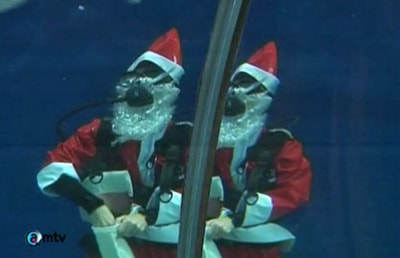 20 Dec 2010