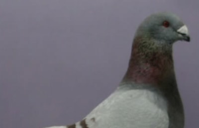 18 Apr 2011